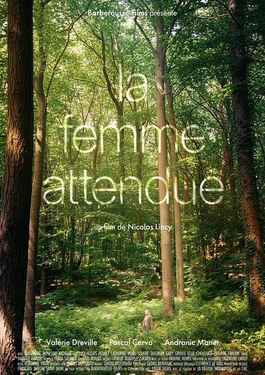 affiche du film